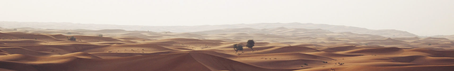 ݆չ޹˾
